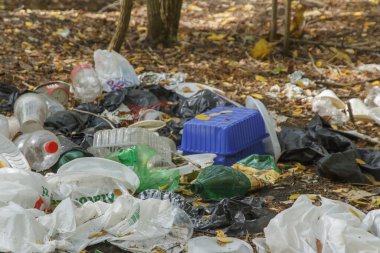 İnsanların dinlendikten sonra bıraktıkları bir açıklıkta çöp yığını.  