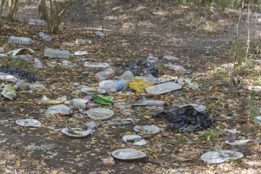 İnsanların dinlendikten sonra bıraktığı bir ormana saçılmış çöpler.  