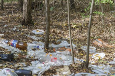 İnsanların dinlendikten sonra bıraktıkları çöpler ormana saçılmış.   