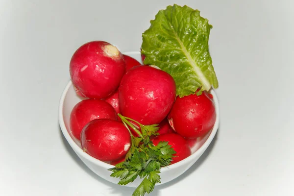 Πρώιμη Άνοιξη Κόκκινο Ραπανάκι Μαϊντανό Και Μαρούλι Ένα Μικρό Πιάτο — Φωτογραφία Αρχείου