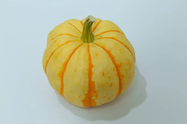 Pumpkins White Background — Stock Photo, Image