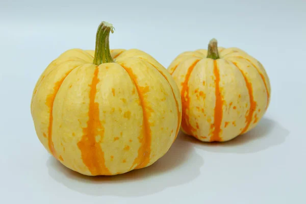 Calabazas Sobre Fondo Blanco —  Fotos de Stock