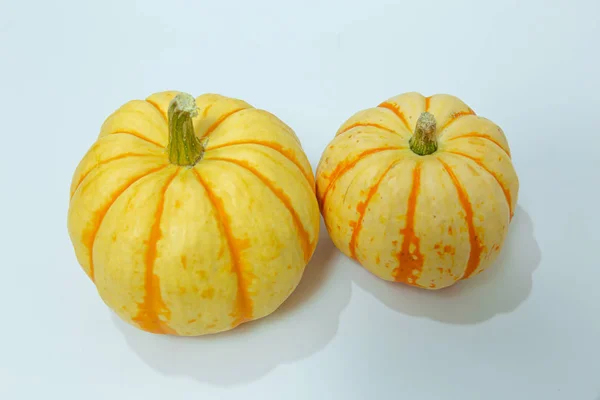 Pumpkins White Background — Stock Photo, Image