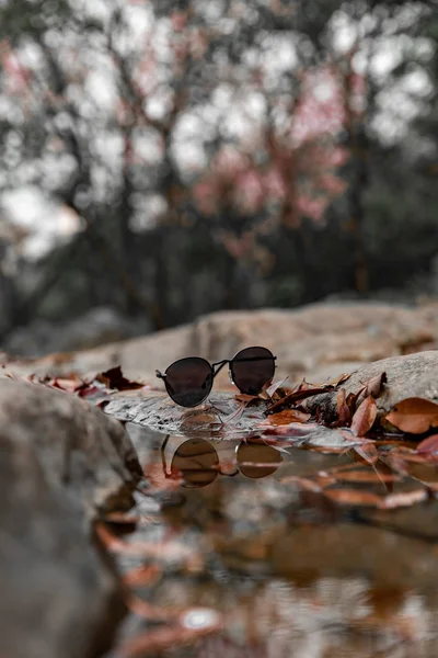Γυαλιά Κοντά Στο Νερό Στη Φύση — Φωτογραφία Αρχείου