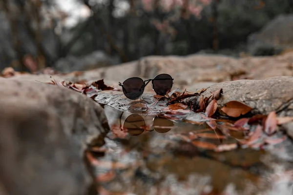 Vasos Cerca Del Agua Naturaleza —  Fotos de Stock