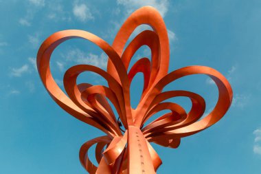 mavi gökyüzü arka planında turuncu çiçek