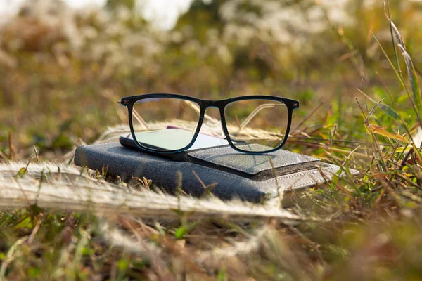 Brille Auf Dem Notizbuch Gras — Stockfoto