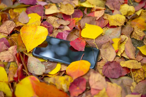 Telefon Jesiennymi Liśćmi Zbliżenie Strzał — Zdjęcie stockowe