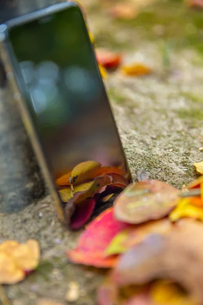 Telefon Jesiennymi Liśćmi Zbliżenie Strzał — Zdjęcie stockowe