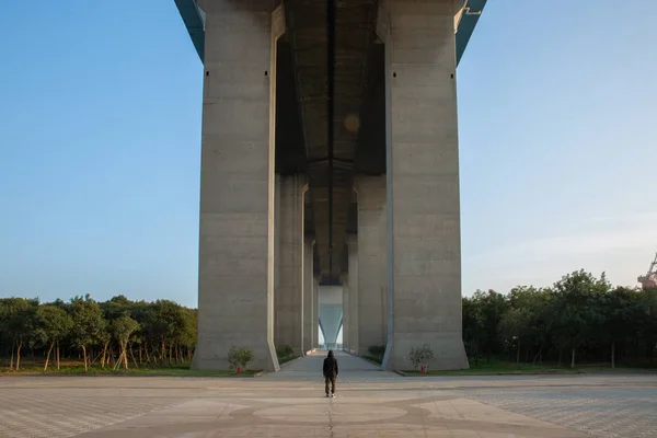 高い橋の下の男 — ストック写真