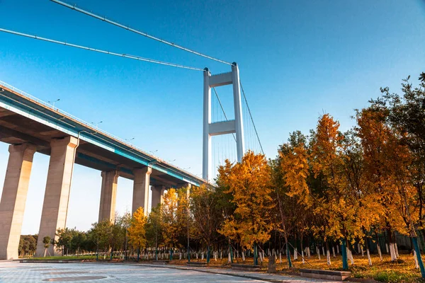 Brug Blauwe Lucht Achtergrond Herfst Seizoen — Gratis stockfoto