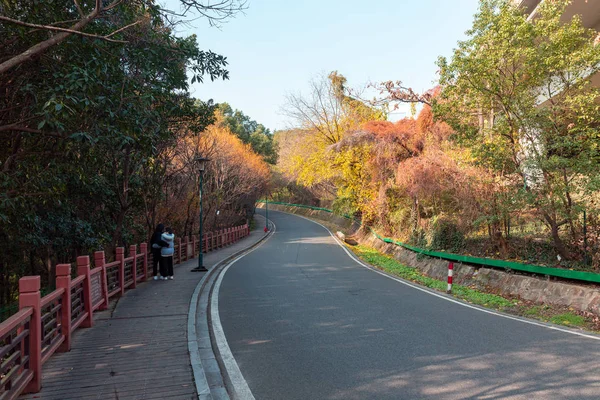 Camino Del Parque Temporada Otoño Con Colorido Árbol Los Lados — Foto de Stock