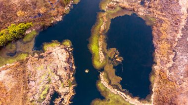Ormanlar ve göller ile doğa manzarası manzarası 