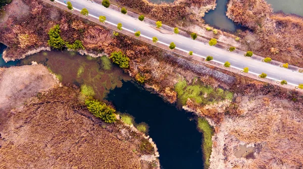 Vista Panorâmica Aérea Sobre Paisagem Natureza Com Florestas Lagos — Fotografia de Stock