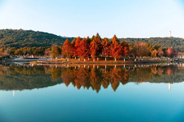 Podzimní Krajina Jezerem Stromy — Stock fotografie zdarma