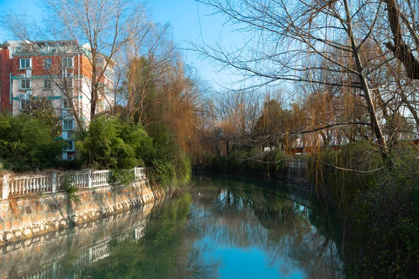  houses with river in city park of the city