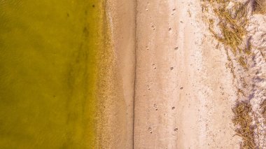 Yeşil nehir suyu ve boş sahil manzarası.