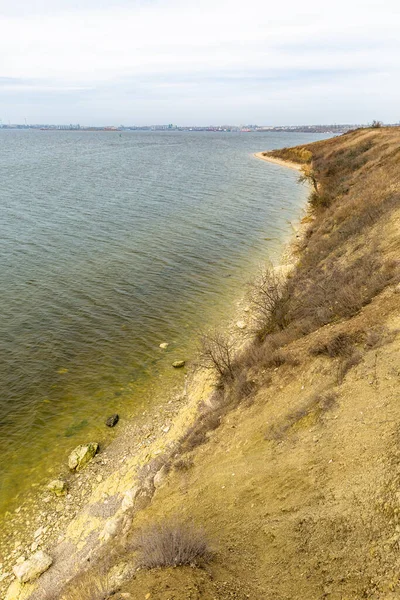 Yeşil suyu olan nehir kıyısı
