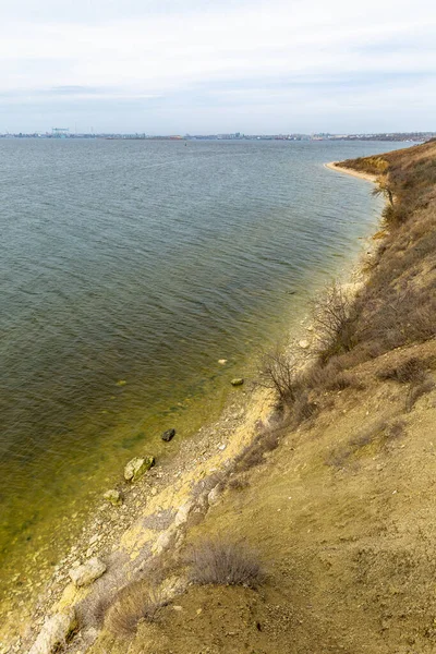 Yeşil suyu olan nehir kıyısı