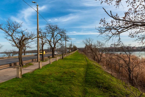 Árvores Primavera Estrada — Fotografia de Stock