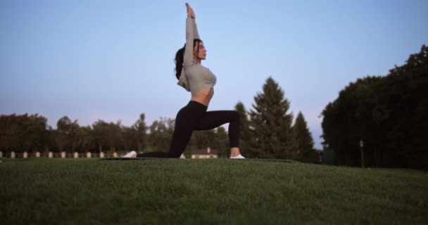 Sportliches Mädchen Praktiziert Abends Yoga Park Hübsches Mädchen Wärmt Sich — Stockvideo