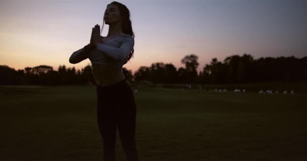 Κορίτσι Διαλογίζεται Ηλιοβασίλεμα Αργή Κίνηση Ελκυστική Γυναίκα Κάνει Γιόγκα Στο — Αρχείο Βίντεο