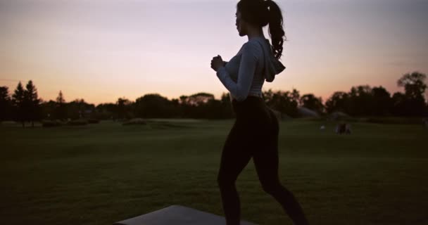 Lány Karatézik Utcán Sportos Napnyugtakor Rugdos Parkban Lassított Felvételen Hangnemben — Stock videók