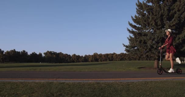 Menina Bonito Rolar Uma Scooter Pôr Sol Verão Menina Bonita — Vídeo de Stock