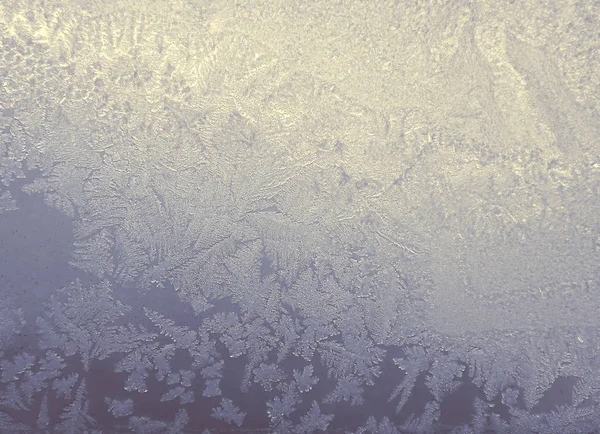 Silver winter background with frost pattern — Stock Photo, Image