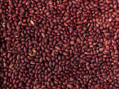 Kızılderili kavrulmuş fıstık closeup