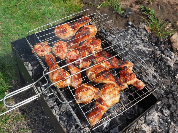 Marinated Grilled chicken Leg — Stock Photo, Image