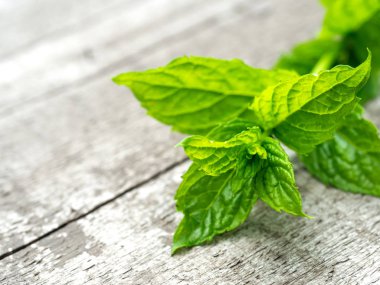 Bahçede taze nane yaprakları hasat