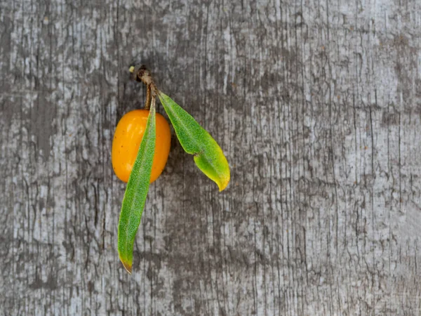 成熟的橙子、沙棘、浆果 — 图库照片