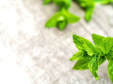 Bahçede taze nane yaprakları hasat