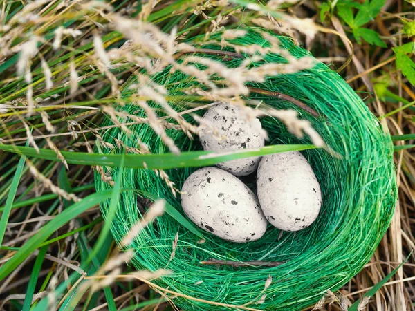 Bird nest in green grass with three eggs — Stock Photo, Image
