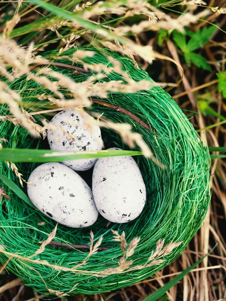 Bird nest in green grass with three eggs — Stock Photo, Image