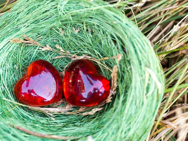 Bird nest hidden in a grass with two red hearts inside — Stock Photo, Image