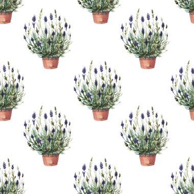 Lavanta provence suluboya desenli dikişsiz tekstil aromaterapi otları bahar çiçekleri beyaz arkaplan çerçeve kartpostal logosu bitkileri botanik kozmetik kaplıcaları mor mavi limon filizi gerçekçiliği.