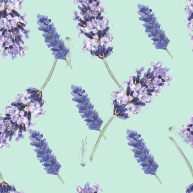 Lavanta kaynaklı suluboya desenli dikişsiz tekstil aromalı bitkiler bahar çiçekleri beyaz arka planda çiçek açar.