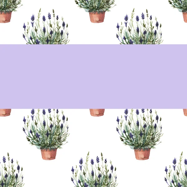 Lavanda Provence Aquarela Padrão Sem Costura Impressão Têxtil Aromaterapia Ervas — Fotografia de Stock