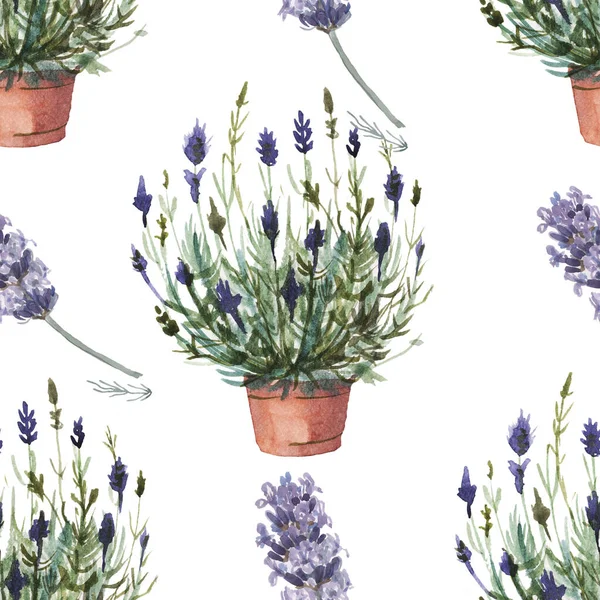 Levandule Provence Akvarel Vzor Bezešvný Tisk Textil Aromaterapie Byliny Jaro — Stock fotografie
