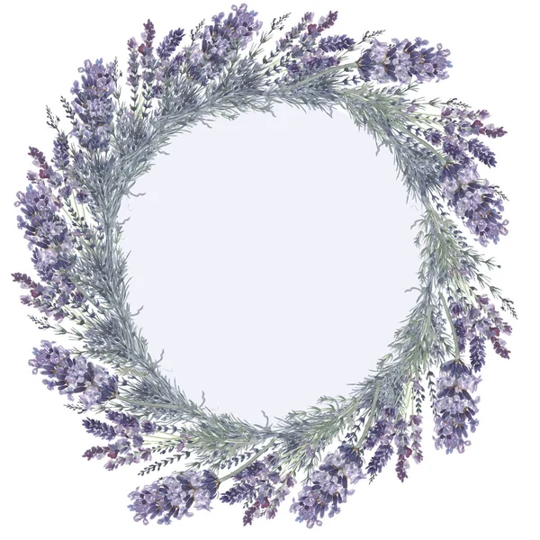 Lavanda Provence Patrón Acuarela Impresión Inconsútil Textil Aromaterapia Hierbas Primavera — Foto de Stock