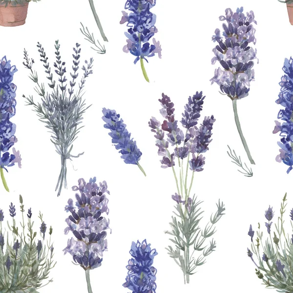 Lavanta provence suluboya desenli dikişsiz tekstil aromaterapi otları bahar çiçekleri beyaz arkaplan çerçeve kartpostal logosu bitkileri botanik kozmetik kaplıcaları mor mavi limon filizi gerçekçiliği.