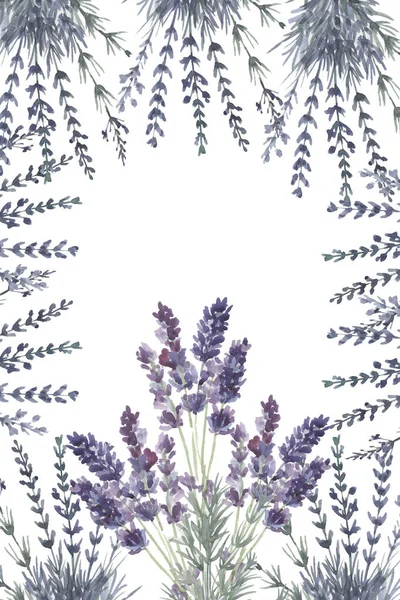 Lavanda Provence Aquarela Padrão Sem Costura Impressão Têxtil Aromaterapia Ervas — Fotografia de Stock