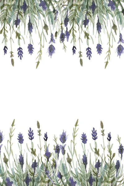 Levandule Provence Akvarel Vzor Hladký Tisk Textil Aromaterapie Byliny Jaro — Stock fotografie