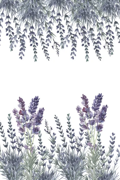 Lavanda Provence Aquarela Padrão Sem Costura Impressão Têxtil Aromaterapia Ervas — Fotografia de Stock