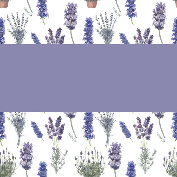 Lavender Provence Akvarell Mönster Sömlös Tryck Textil Aromaterapi Örter Våren — Stockfoto