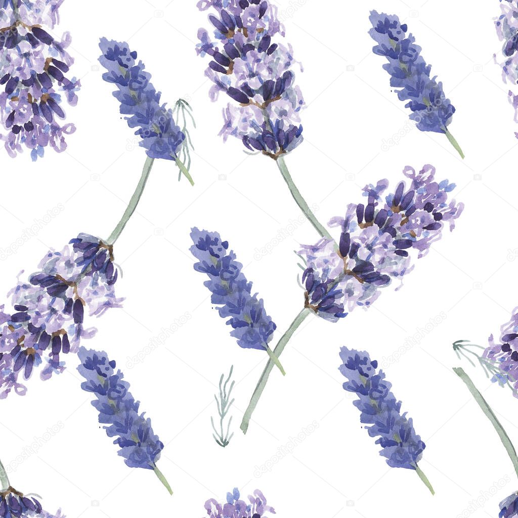 lavender provence watercolor pattern seamless print textile aromatherapy herbs spring flowers blooming on a white background frame logo postcard plants botany spa cosmetics lilac purple blue green lime sprigs vintage realism