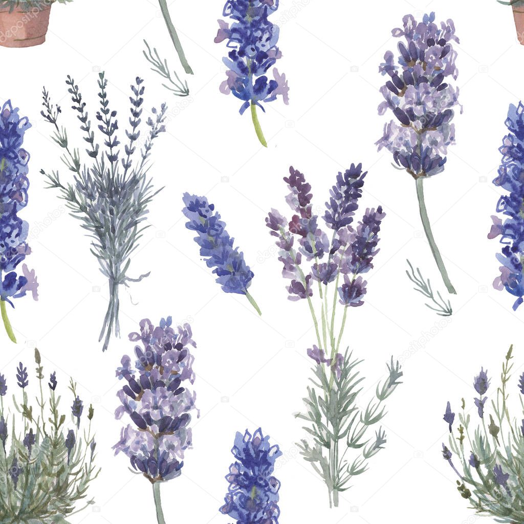 Lavender provence watercolor pattern seamless print textile aromatherapy herbs spring flowers blooming on a white background frame logo postcard plants botany spa cosmetics lilac purple blue green lime sprigs vintage realism