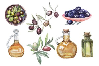 Zeytinler, kaynak desenli tekstil desenli doğal yağlı suluboya desenleri beyaz arka plan diyet yağı sağlıklı beslenme, vejetaryenlik, menü, İtalyan mutfağı, eski el yapımı İtalyan mutfağı.